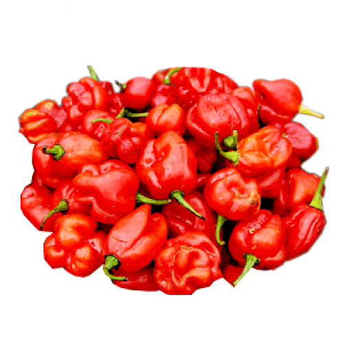 Fresh Red Pepper